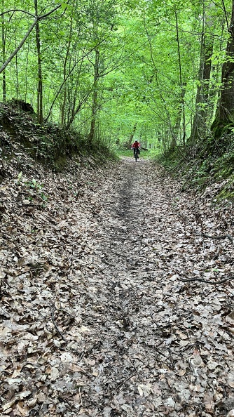 22-05-02 15-40-17 0737.jpg